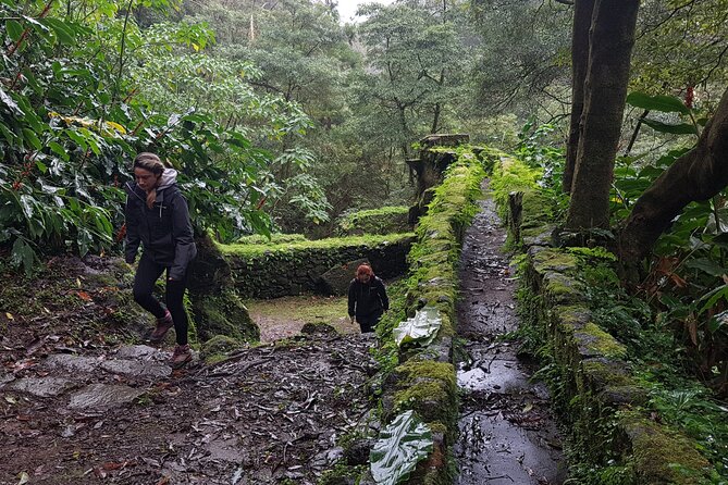 Full Day Hiking Trail Waterfalls - in Lomba De São Pedro - Azores - Inclusions and Pickup