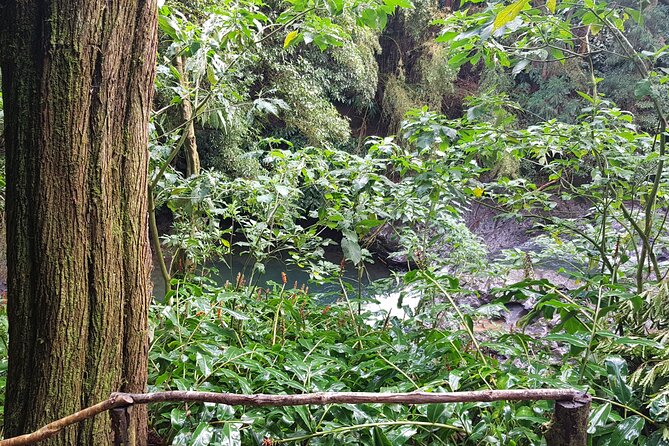 Full Day Hiking Trail Waterfalls - in Lomba De São Pedro - Azores - Booking Details