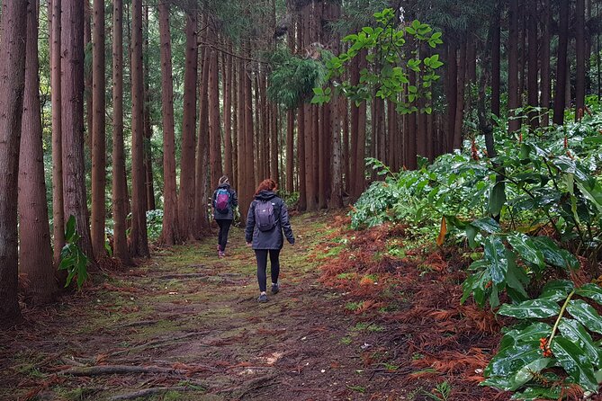 Full Day Hiking Trail Waterfalls - in Lomba De São Pedro - Azores - Discovering the Waterfalls