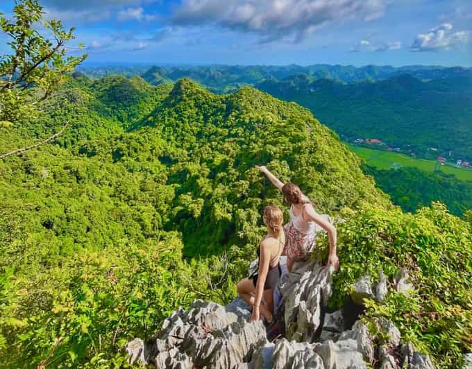 Full-Day Hiking, Trekking in Jungle of Cat Ba National Park - Transportation and Logistics