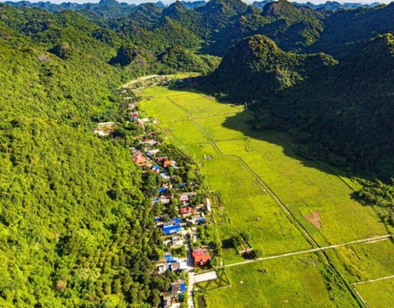 Full-Day Hiking, Trekking in Jungle of Cat Ba National Park - Important Notes