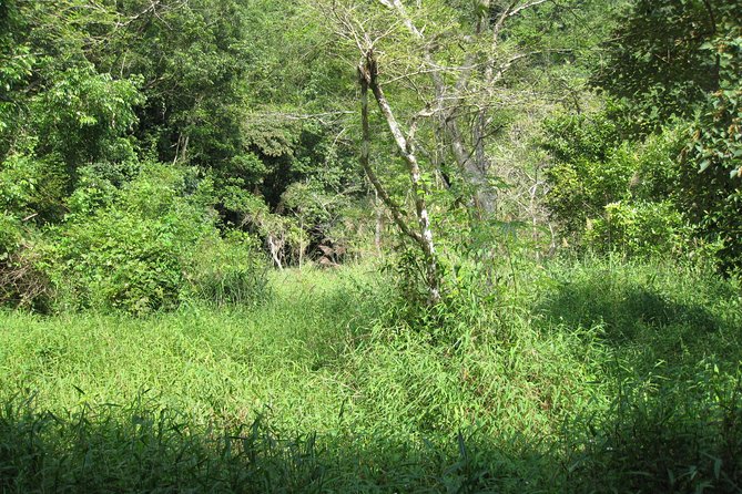 Full Day Hikking in Jungle of Cat Ba National Park - Inclusions and Exclusions