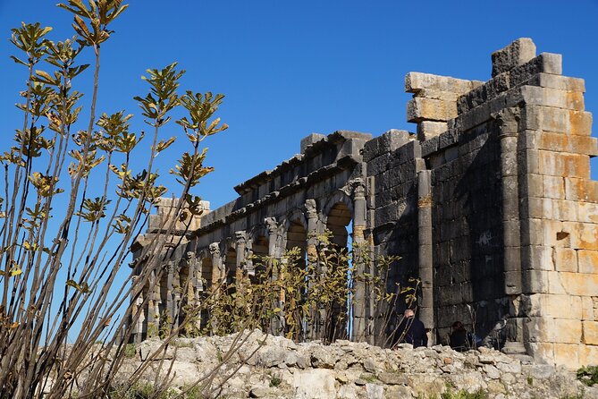 Full-day Historical Meknes Volubilis and Moulay Idriss Tour - Included Services