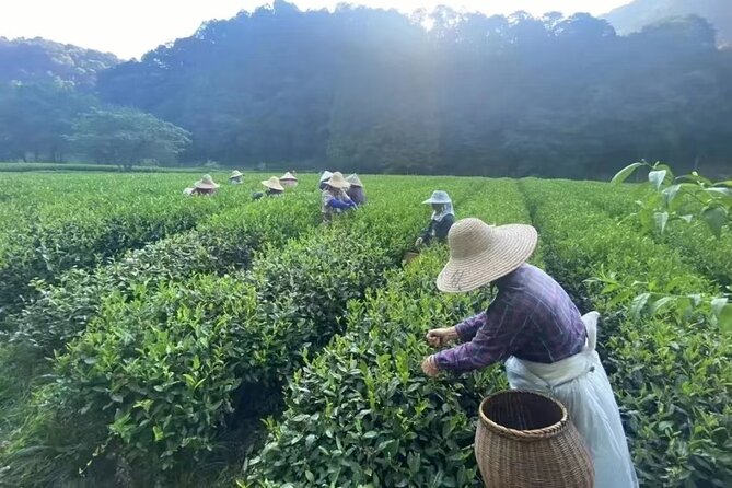 Full-Day Historical Tour in Hangzhou With Pickup - Exploring Hangzhous History