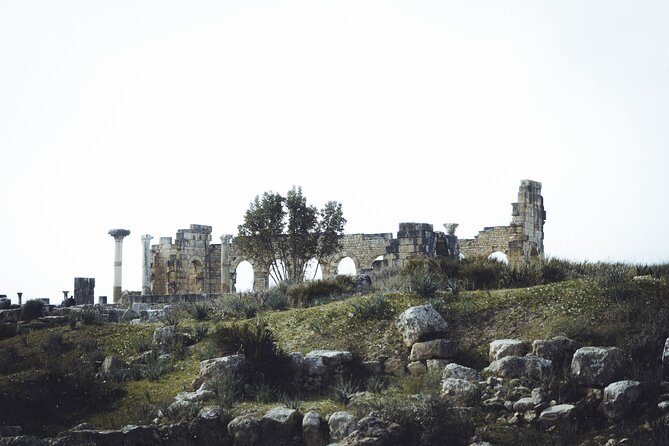 Full-Day Historical Tour to Meknes Volubilis and Moulay Idriss - Group Size Restrictions