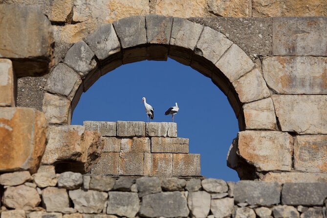 Full-Day Historical Tour to Meknes Volubilis and Moulay Idriss - Additional Details