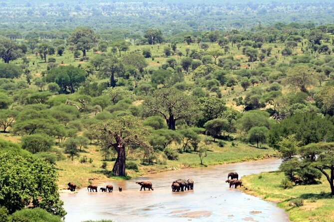 Full Day Hluhluwe Imfolozi Game Reserve From Durban - Scheduled Start Time and Participation