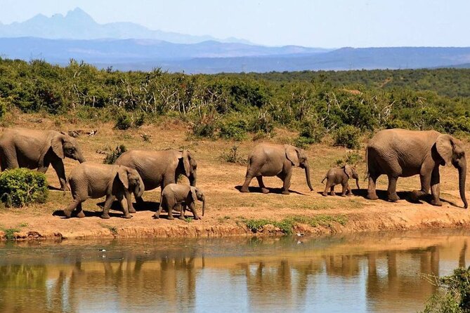 Full Day Hluhluwe Imfolozi Game Reserve From Durban - Exploring the Hluhluwe Imfolozi Reserve