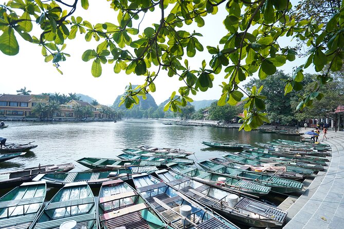 Full Day Hoa Lu/Tam Coc/ Mua Cave Tour by Limousine Bus - Comfortable Transportation