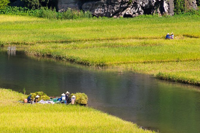 Full Day Hoa Lu Temples & Tam Coc Boating- Cycling - Vietnamese Cuisine Buffet Lunch