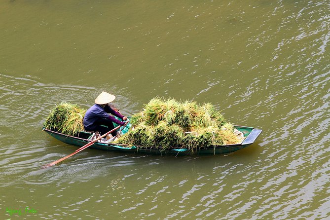 Full Day Hoa Lu Temples & Tam Coc Boating- Cycling - Reviews and Ratings