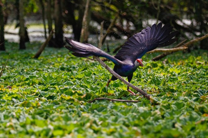 Full Day: Hoi an - Bach Ma National Park - Transportation and Pickup Details