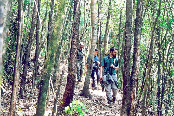 Full Day: Hoi an - Bach Ma National Park - Scenic Views and Landmarks