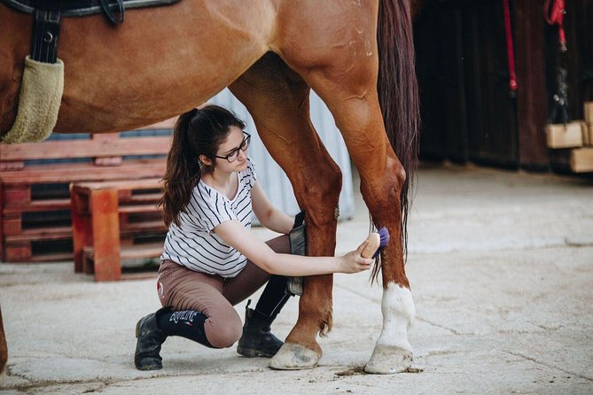 Full Day Horse Riding & Quad Biking - Safety Considerations