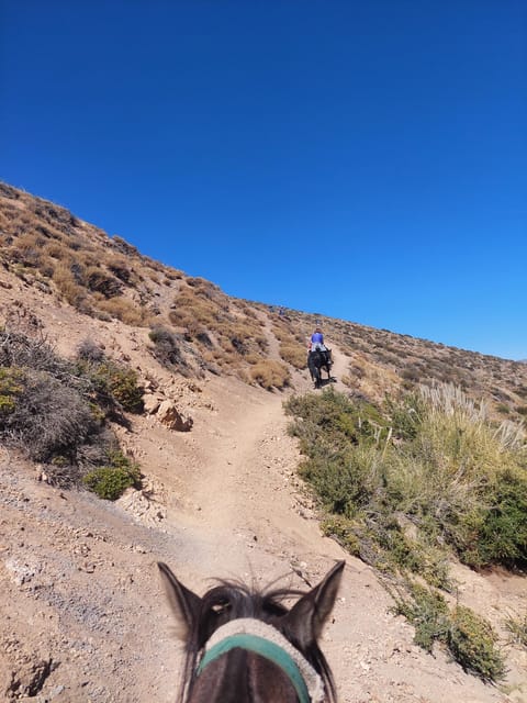 Full-Day Horseback Riding in the Andes Near Santiago - Key Points