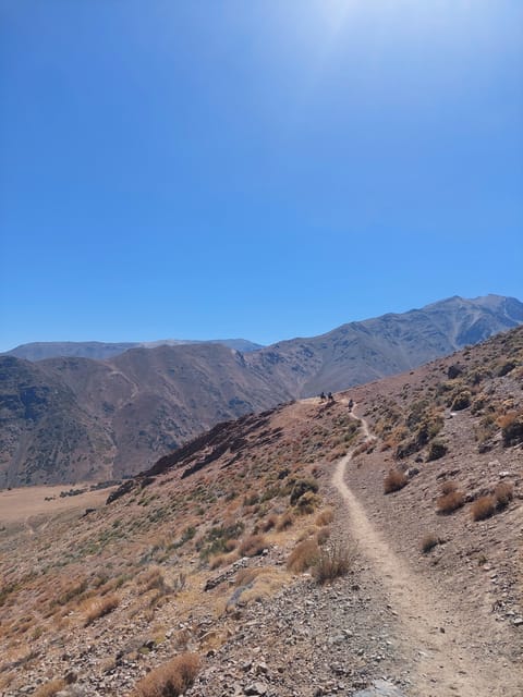 Full-Day Horseback Riding in the Andes Near Santiago - Highlights