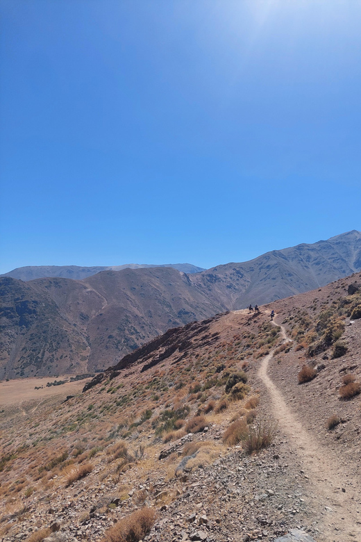 Full-Day Horseback Riding in the Andes Near Santiago - Contact Options