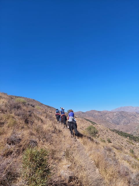 Full-Day Horseback Riding in the Andes Near Santiago - Frequently Asked Questions