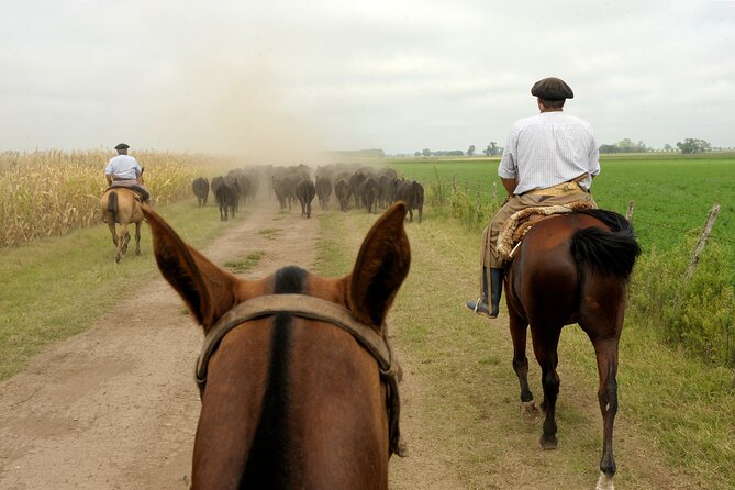 Full-Day Horseback Riding With Gauchos From Buenos Aires - Embracing Gaucho Riding Traditions