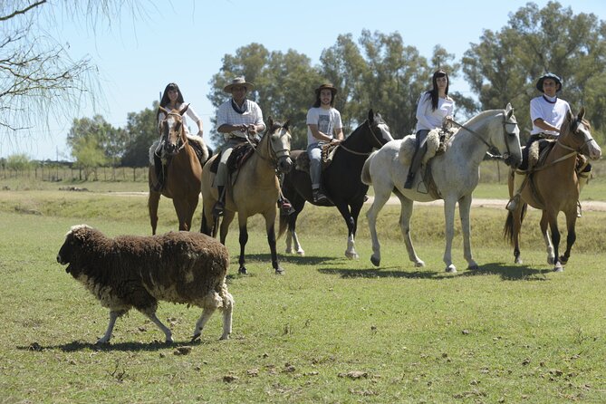 Full-Day Horseback Riding With Gauchos From Buenos Aires - Taste of Asado Argentinian Cuisine