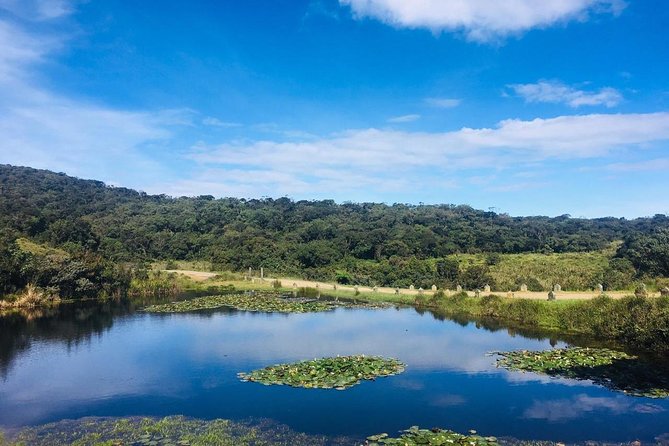 Full-Day Horton Plains National Park Tour From Nuwaraeliya - Key Points