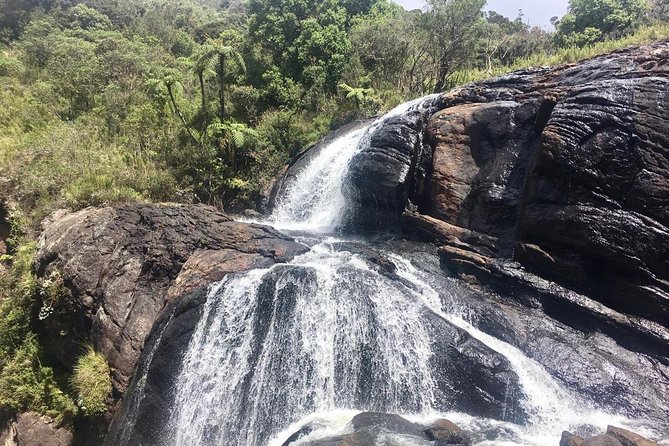 Full-Day Horton Plains National Park Tour From Nuwaraeliya - Tour Highlights