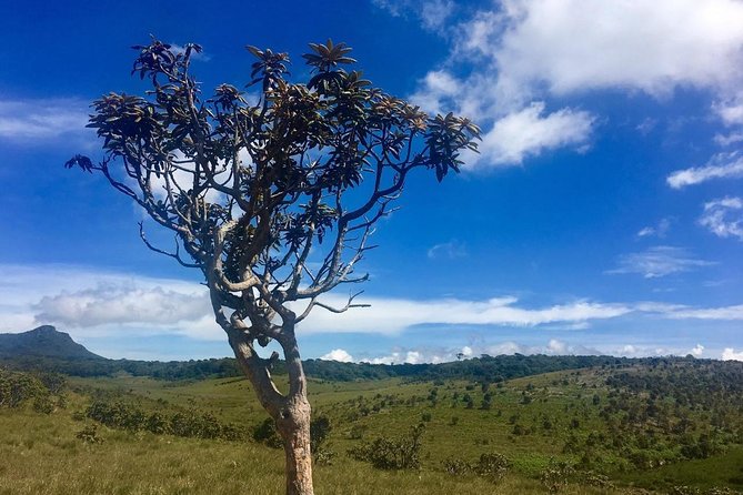 Full-Day Horton Plains National Park Tour From Nuwaraeliya - Tour Duration
