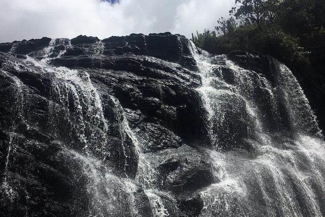 Full-Day Horton Plains National Park Tour From Nuwaraeliya - Reviews and Ratings