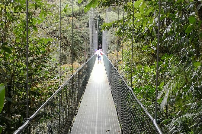 Full Day Hot Springs at Arenal Volcano and Hanging Brides From San Jose - Meeting and Pickup Details