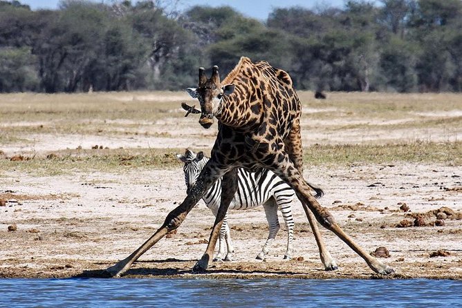 Full Day Hwange Day Trip - Guide Expertise