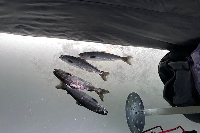 Full Day Ice Fishing Experience in Palmer Alaska - Inclusions and Gear
