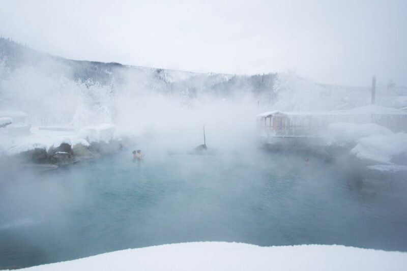 Full Day Ice Museum and Chena Hot Springs Tour - Experience Highlights