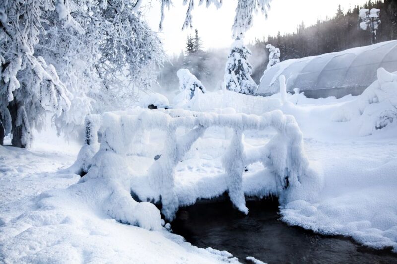 Full Day Ice Museum and Chena Hot Springs Tour - Frequently Asked Questions