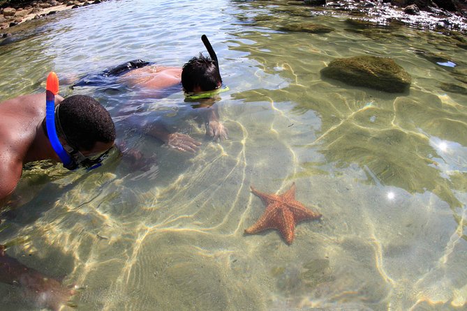 Full-Day Ilha Grande Northern Coast Speedboat Tour - Cancellation Policy