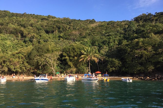 Full-Day Ilha Grande Northern Coast Speedboat Tour - Traveler Feedback: Cons
