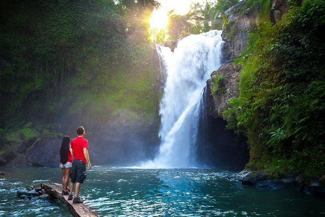 Full-Day in Bali: Amazing Ubud Tour - Inclusions
