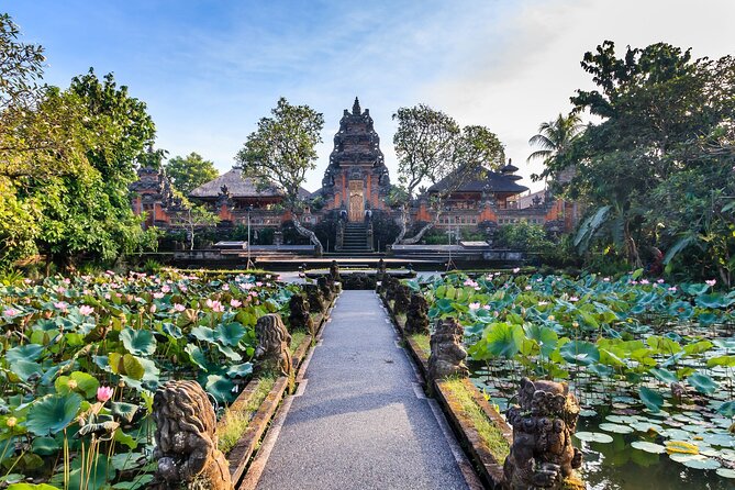 Full-Day in Bali: Private Custom Tour by Minibus - Inclusions