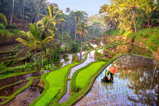 Full-Day in Bali: Private Custom Tour by Minibus - Customer Service