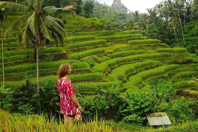Full-Day in Bali: Private Design-Your-Own Tour - Not Included in the Tour