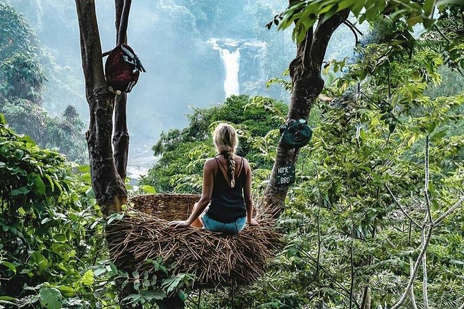 Full-Day in Bali: Private Design-Your-Own Tour - Exceptional Reviews
