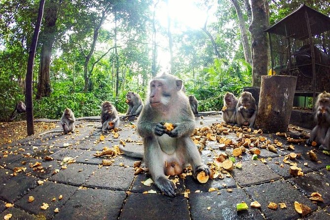 Full-Day in Bali: Private Design-Your-Own Tour - Private Transportation and Guide