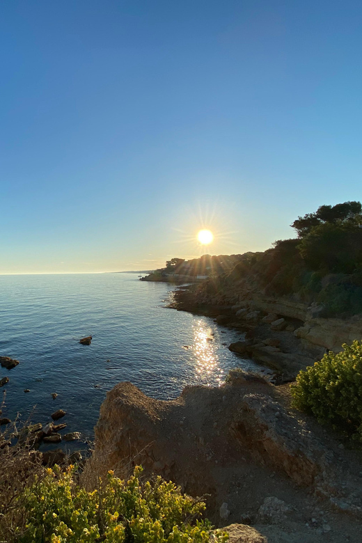 Full Day in Côte Bleue: Scenic Nature Walk and Boat Tour - Included Services