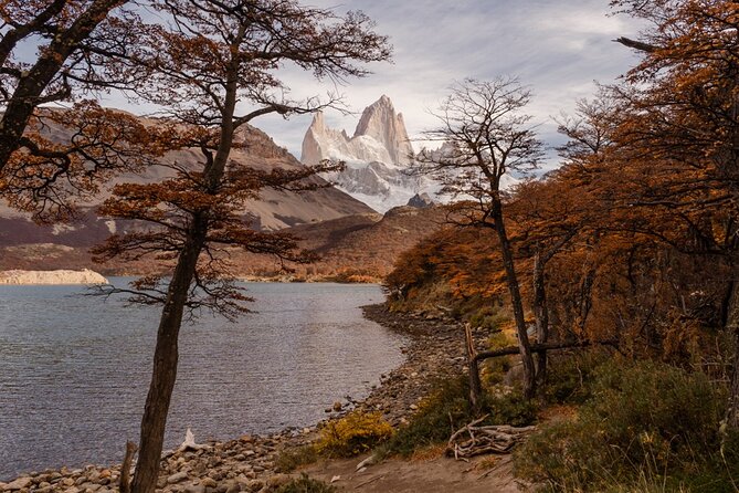 Full Day in El Chaltén With Trekking to Laguna De Los Tres - Itinerary at a Glance