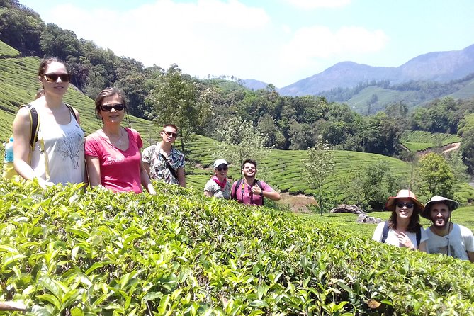 Full Day in Hiking in Munnar (By Munnar Info) - Meeting and Ending Locations