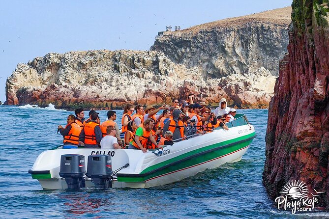 Full Day in Lima: Paracas and Huacachina Ica in Luxury Mobility! - Paracas National Reserve Visit