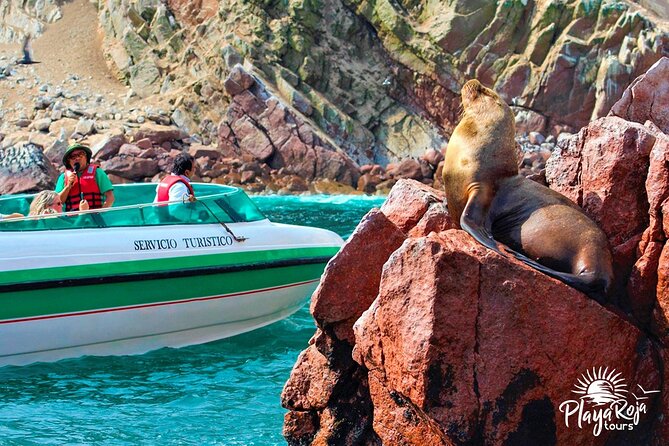 Full Day in Lima: Paracas and Huacachina Ica in Luxury Mobility! - Tour Highlights and Inclusions