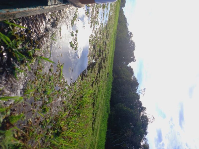Full Day in Natural Reserve in Peru - Important Information