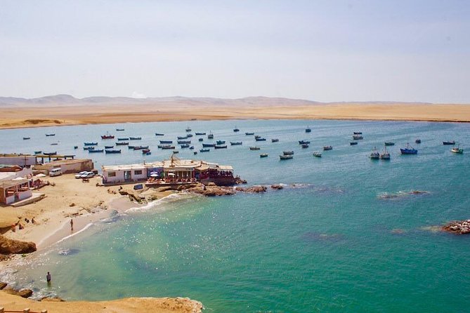Full Day in Paracas and Huacachina From Lima All Included - Key Points