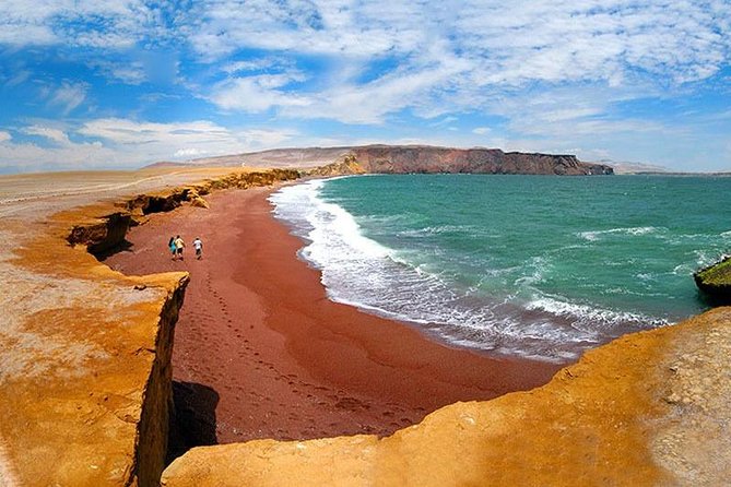 Full Day in Paracas and Huacachina From Lima All Included - Book Your Adventure