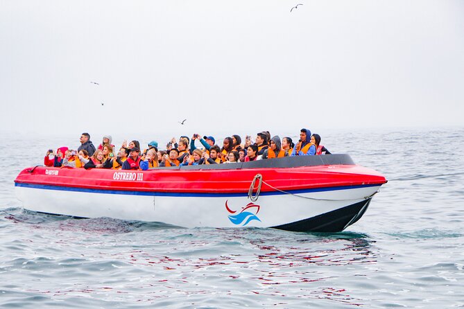 Full Day in Paracas, Ica and Huacachina With Yacht Tour - Tour Overview and Highlights